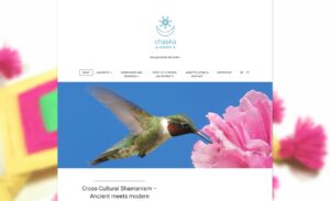 Chaska wisdom – Energiemedizin der Anden